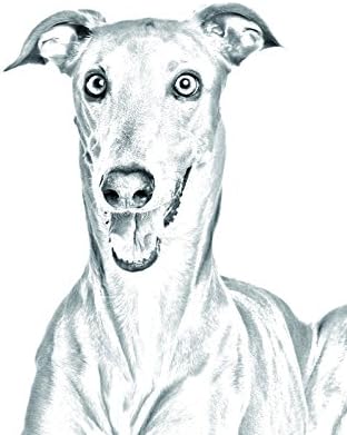 Olasz Agár, Ovális alakú Sírkő a Kerámia egy Kép egy Kutyát