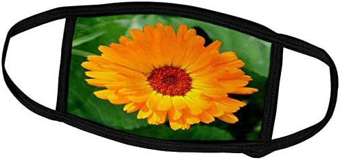 3dRose egy Felső Fénykép egy Élénk Narancssárga Színű Marigold Virág - Álarcok (fm_333493_2)