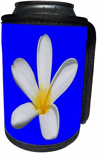 3dRose Egyetlen Plumeria Virág Elszigetelt - Lehet Hűvösebb Üveg Wrap (cc_356568_1)