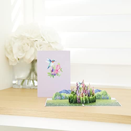 Lovepop Csillagfürt Kolibri Pop-Up Card - 5 X 7 – Üdvözlőlapok Neki, Megjegyzés Kártya Borítékkal Minden Alkalomra – Mindennapi