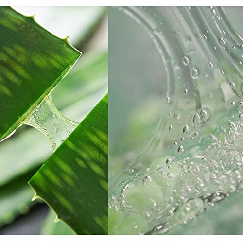 Kim Jeong Hold Gyógymód Aloe Frissítés, Jelly Szérum 30ml / 1.01 fl.oz Nedvesség rugalmasságát szérum, amely kitölti szorosan