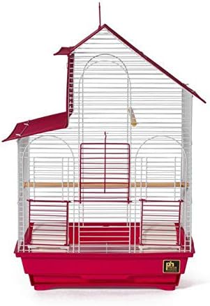 Papagáj Ház Madár Ketrec Piros