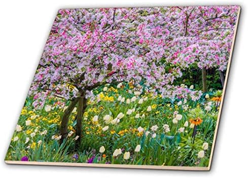 3dRose Franciaország, Giverny. Tavasz Claude Monet Kertje. -Kerámia, 6 hüvelykes (ct_210032_2), Többszínű